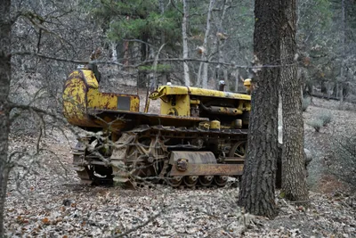 DSC_0055 (Large).JPG